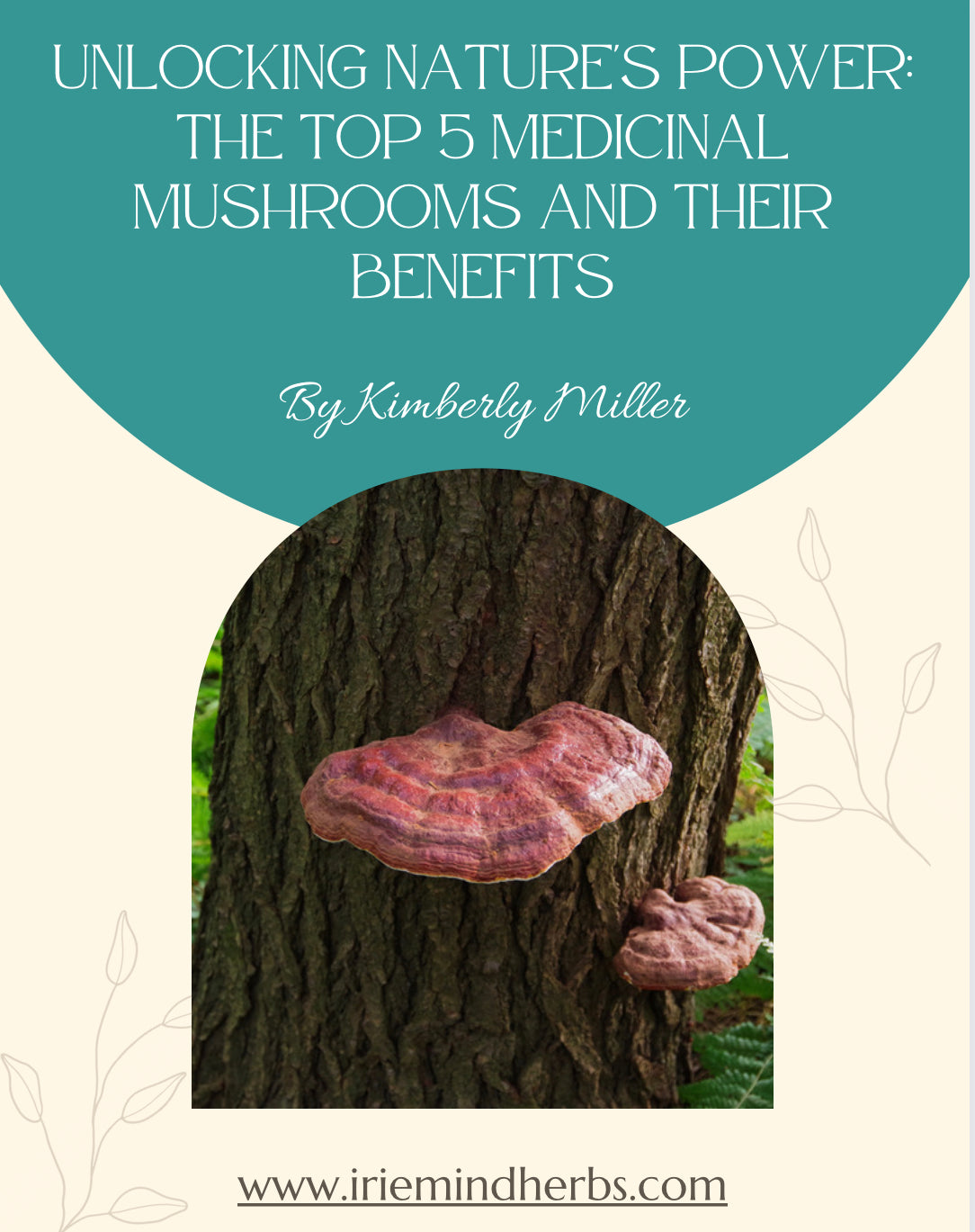 Mighty Mushrooms Tincture