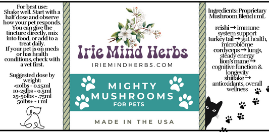 Mighty Mushrooms | Stress & Anxiety | Organic Tinctures for Pets