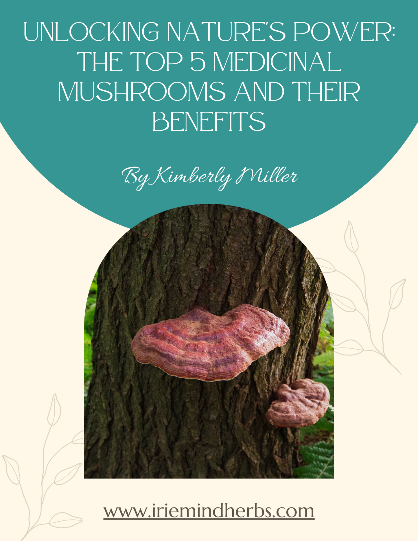 Unlocking Nature's Power: The Top 5 Medicinal Mushrooms and Their Health Benefits