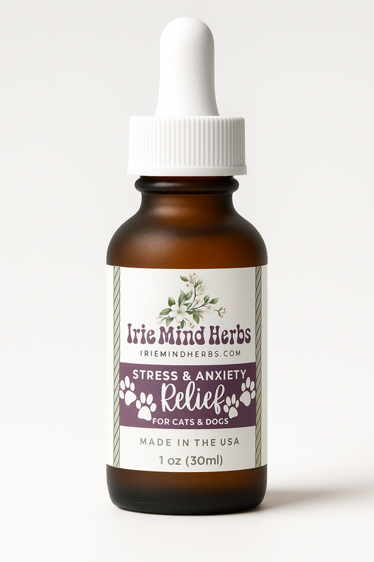 Mighty Mushrooms | Stress & Anxiety | Organic Tinctures for Pets